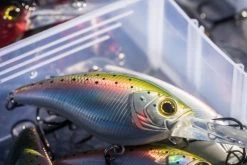 Shimano Yasei Cover Crank F -Shimano Geschäft LUYASCCFSR07RBTr 6