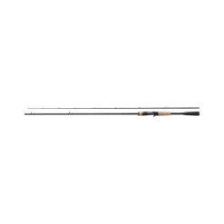 Shimano Expride Casting 2.08m 7-21g 2St