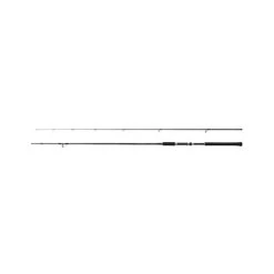 Shimano Salty Advance Shore Jig 3,05 M