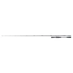 Shimano Rute Yasei AX Jerkbait 1,98m 45-100g 1+1St