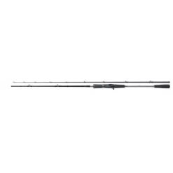 Shimano Rute Yasei AX Pike Casting 2.30m 56-170g