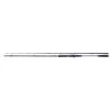 Shimano Rute Yasei AX Pike Casting 2.60m 120-270g