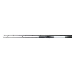 Shimano Rute Yasei AX Pike Casting 2.60m 120-270g
