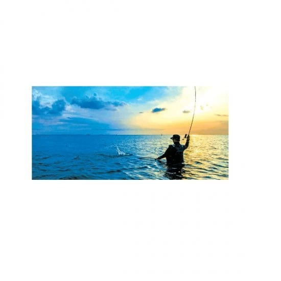 Shimano Beastmaster 10000 XB 3 Shimano Beastmaster 10000 XB – Bild 3