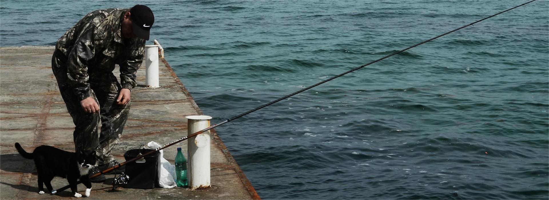 Shimano Geschäft 1 Shimano Geschäft -Shimano Geschäft pexels viktor talashuk 2362008